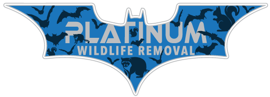 Muskegon Animal Removal